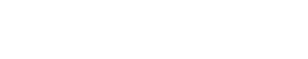 company.it
